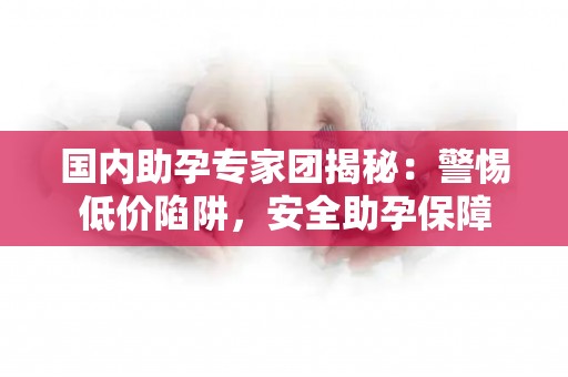 国内助孕专家团揭秘：警惕低价陷阱，安全助孕保障