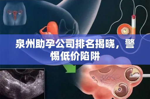 泉州助孕公司排名揭晓，警惕低价陷阱