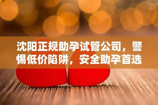 沈阳正规助孕试管公司，警惕低价陷阱，安全助孕首选