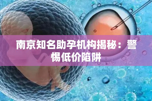 南京知名助孕机构揭秘：警惕低价陷阱