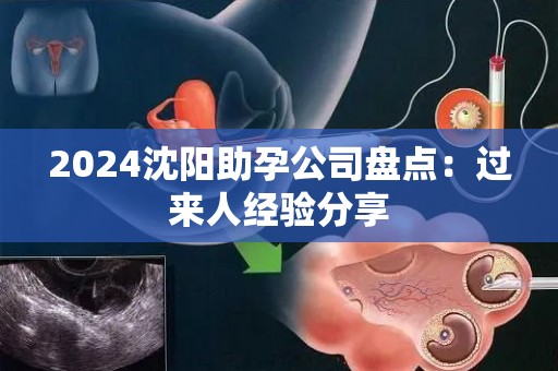 2024沈阳助孕公司盘点：过来人经验分享