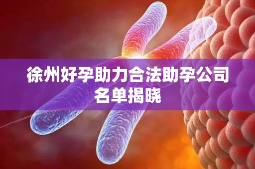 徐州好孕助力合法助孕公司名单揭晓