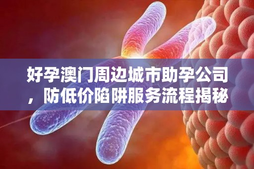 好孕澳门周边城市助孕公司，防低价陷阱服务流程揭秘