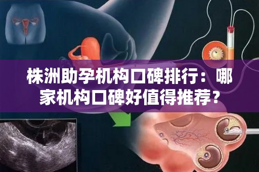 株洲助孕机构口碑排行：哪家机构口碑好值得推荐？
