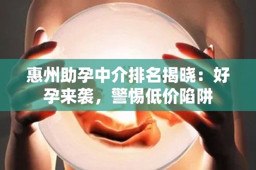 惠州助孕中介排名揭晓：好孕来袭，警惕低价陷阱