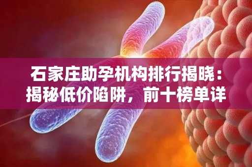 石家庄助孕机构排行揭晓：揭秘低价陷阱，前十榜单详析