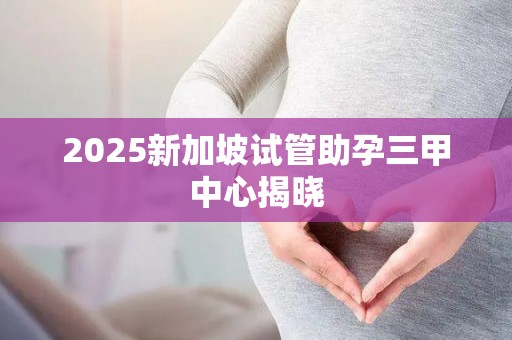 2025新加坡试管助孕三甲中心揭晓