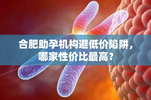 合肥助孕机构避低价陷阱，哪家性价比最高？