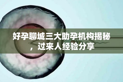 好孕聊城三大助孕机构揭秘，过来人经验分享