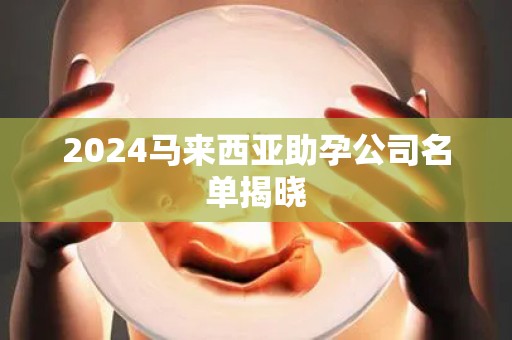 2024马来西亚助孕公司名单揭晓