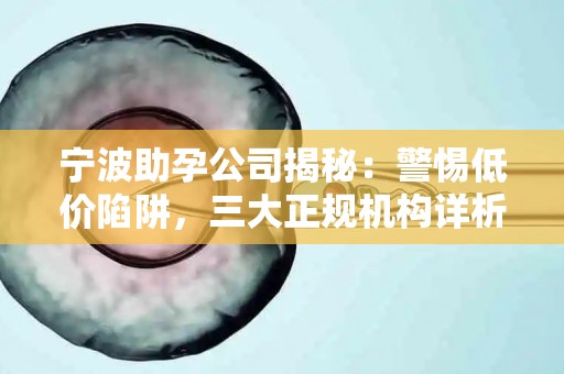 宁波助孕公司揭秘：警惕低价陷阱，三大正规机构详析