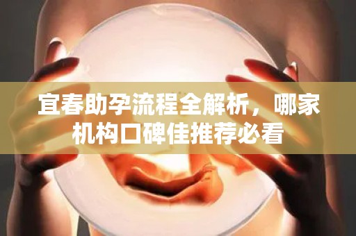 宜春助孕流程全解析，哪家机构口碑佳推荐必看