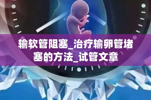 输软管阻塞_治疗输卵管堵塞的方法_试管文章