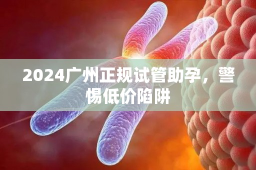 2024广州正规试管助孕，警惕低价陷阱