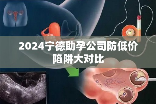 2024宁德助孕公司防低价陷阱大对比