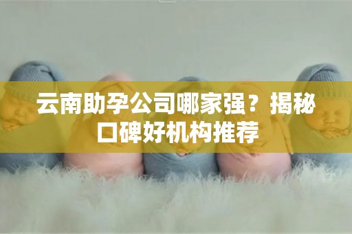 云南助孕公司哪家强？揭秘口碑好机构推荐