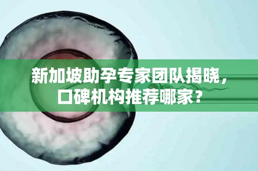 新加坡助孕专家团队揭晓，口碑机构推荐哪家？