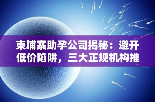 柬埔寨助孕公司揭秘：避开低价陷阱，三大正规机构推荐