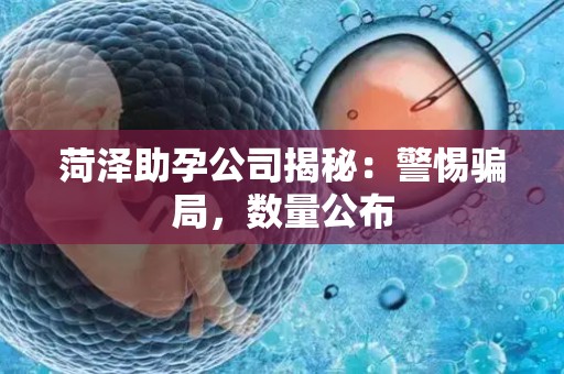 菏泽助孕公司揭秘：警惕骗局，数量公布