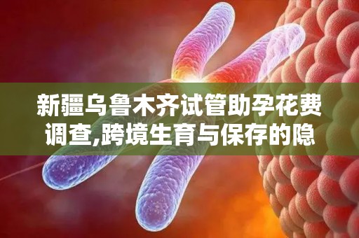 新疆乌鲁木齐试管助孕花费调查,跨境生育与保存的隐藏费用须知!