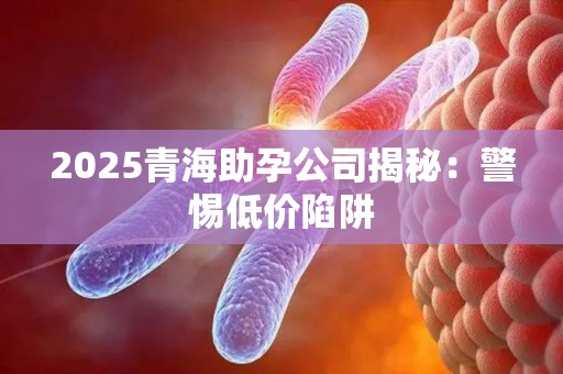 2025青海助孕公司揭秘：警惕低价陷阱