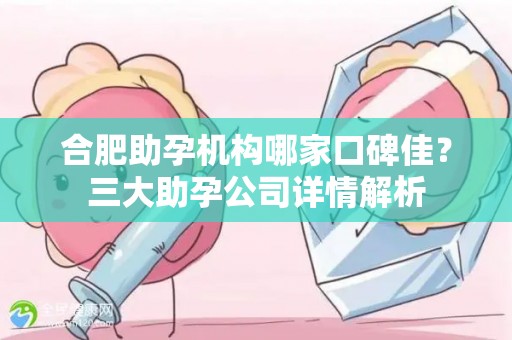 合肥助孕机构哪家口碑佳？三大助孕公司详情解析