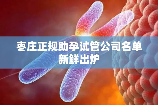 枣庄正规助孕试管公司名单新鲜出炉