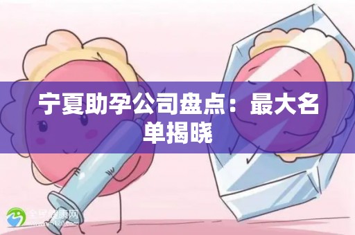 宁夏助孕公司盘点：最大名单揭晓