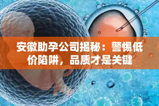 安徽助孕公司揭秘：警惕低价陷阱，品质才是关键