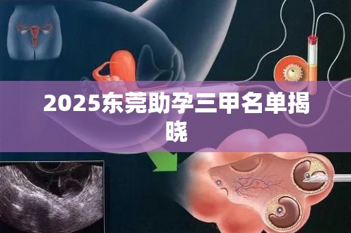 2025东莞助孕三甲名单揭晓