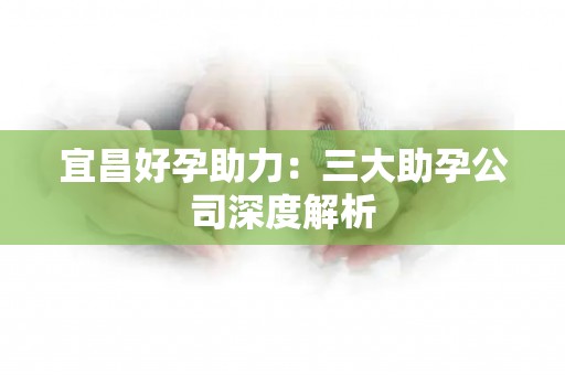 宜昌好孕助力：三大助孕公司深度解析