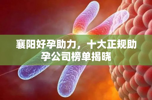 襄阳好孕助力，十大正规助孕公司榜单揭晓