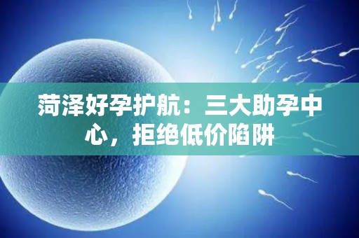 菏泽好孕护航：三大助孕中心，拒绝低价陷阱