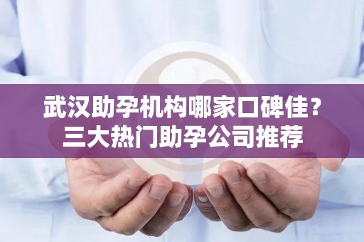 武汉助孕机构哪家口碑佳？三大热门助孕公司推荐