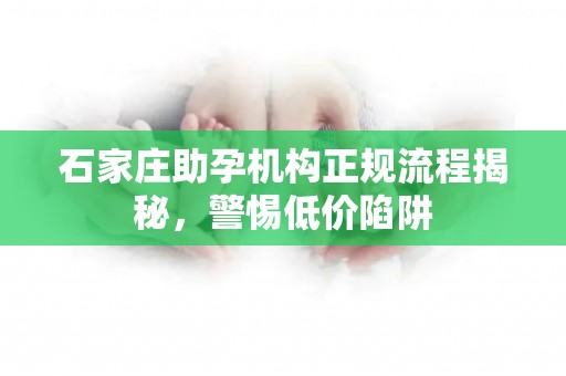 石家庄助孕机构正规流程揭秘，警惕低价陷阱