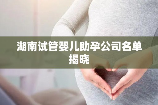 湖南试管婴儿助孕公司名单揭晓