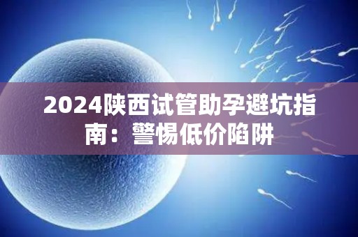 2024陕西试管助孕避坑指南：警惕低价陷阱