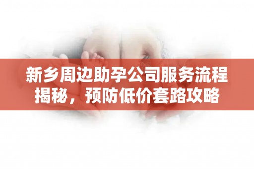 新乡周边助孕公司服务流程揭秘，预防低价套路攻略