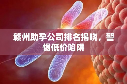 赣州助孕公司排名揭晓，警惕低价陷阱