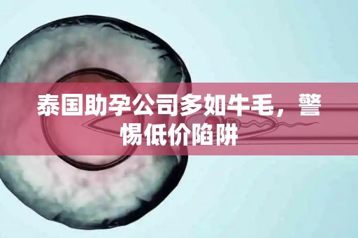 泰国助孕公司多如牛毛，警惕低价陷阱