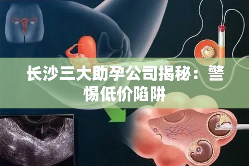 长沙三大助孕公司揭秘：警惕低价陷阱