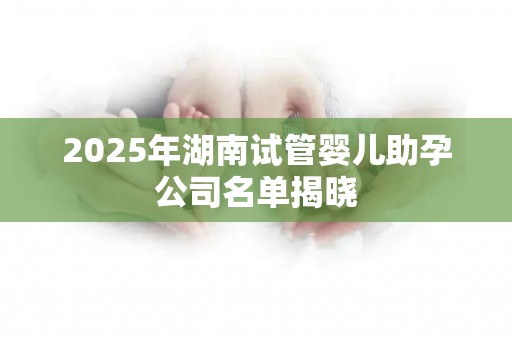 2025年湖南试管婴儿助孕公司名单揭晓