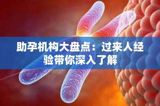 助孕机构大盘点：过来人经验带你深入了解