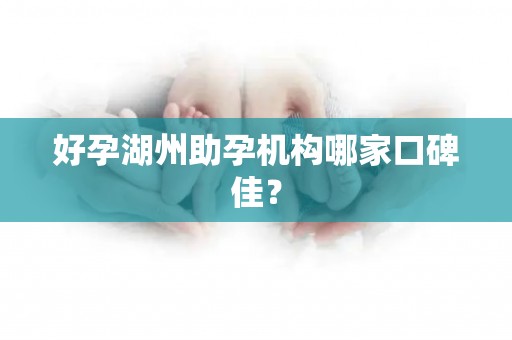 好孕湖州助孕机构哪家口碑佳？