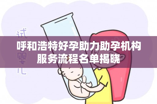 呼和浩特好孕助力助孕机构服务流程名单揭晓