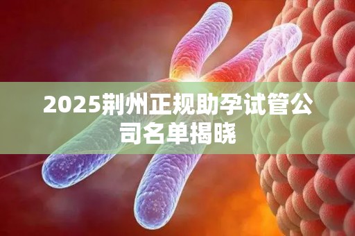2025荆州正规助孕试管公司名单揭晓