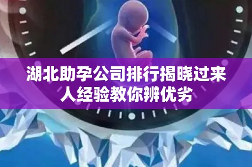 湖北助孕公司排行揭晓过来人经验教你辨优劣