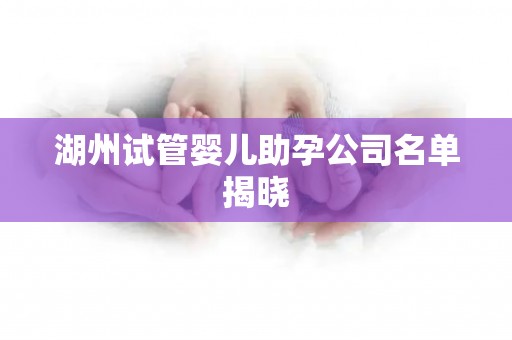 湖州试管婴儿助孕公司名单揭晓