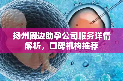 扬州周边助孕公司服务详情解析，口碑机构推荐