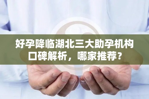 好孕降临湖北三大助孕机构口碑解析，哪家推荐？
